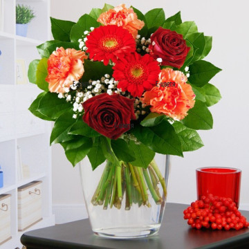 Send a bouquet of gerberas and carnations to Varna