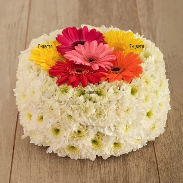 Festive arrangement in the shape of cake for Birthday - skillful arrangement of delicate, white chrysanthemums and cheerful, bright gerberas.