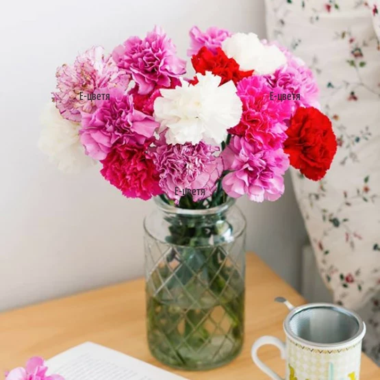 Carnation bouquet in fresh mellow colours
