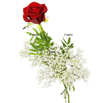 В този случай предлагаме за Вас една червена, чувствена, страстна роза, умело аранжирана с нежна, бяла гипсофила и свежа, деликатна зеленина.