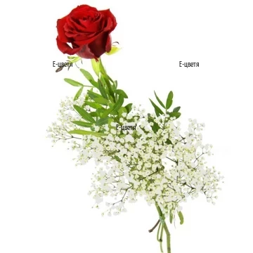Passionate, sensual red rose, arranged with delicate, white gypsophila and fresh greenery.