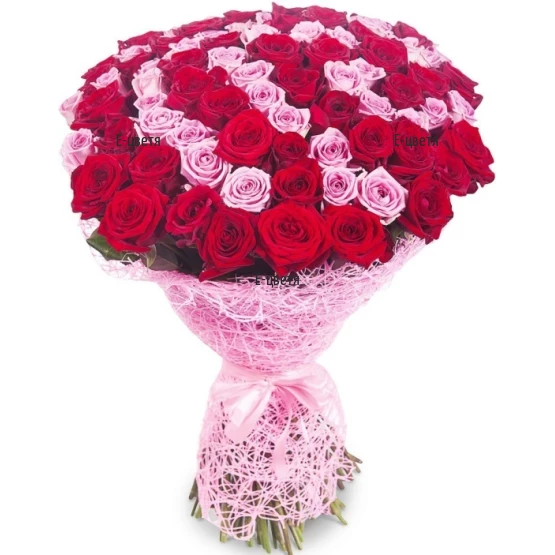 101 pink and red roses delivery to Bulgaria
