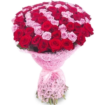 101 pink and red roses delivery to Bulgaria