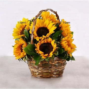 A great basket of sunny sunflowers that will fill your day with smiles and positive mood. In addition - the spectacular and fresh greens.