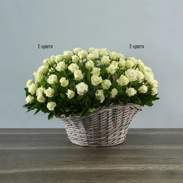Send 101 white roses in a basket to Sofia