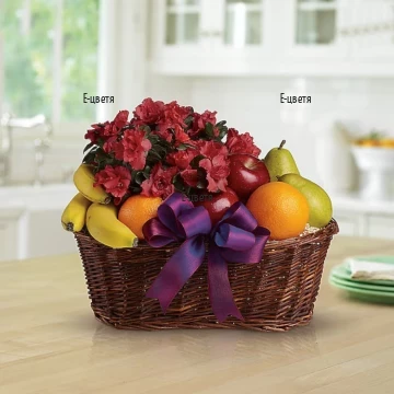 An online order and a delivery by courier - nice basket with various fruits and beautiful pot plant - pink Azalea.