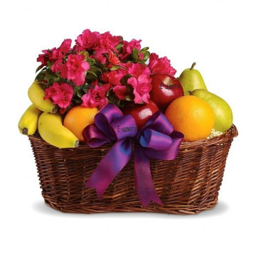 An online order and a delivery by courier - nice basket with various fruits and beautiful pot plant - pink Azalea.