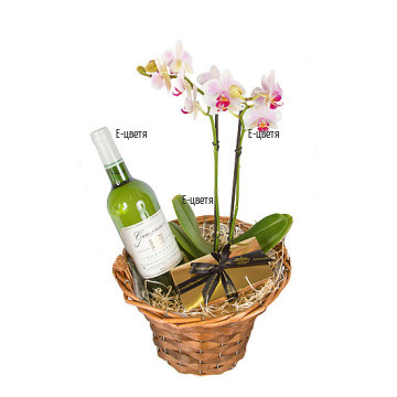 Order nice and original gift for friends and relatives - a basket with gifts and pot plant - Phalaenopsis orchid. Perfect gift for a Birthday or other celebration.