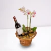 Order and delivery of orchid in a pot and gifts
