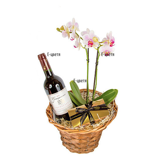 Поръчка и доставка на орхидея в саксия и подаръци