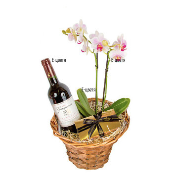 Order and delivery of orchid in a pot and gifts
