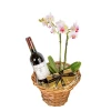 Order and delivery of orchid in a pot and gifts