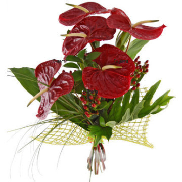 Artistic bouquet of Anthuriums