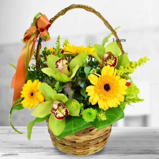 Send a basket with flowers - orchids and gerberas