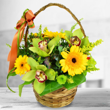 Модерен аранжимент от цветя на пиафлора, поставени в кошница - екзотични орхидеи, слънчеви гербери и разнообразни цветчета, зеленина и декорация.