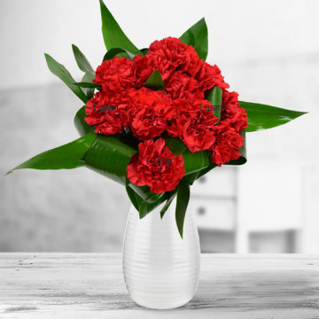 Dear customers, we present you with a classical bouquet from our catalog - a fashionable arrangement of red carnations and fresh greeneries