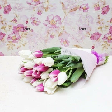 A bouquet of pink and white tulips
