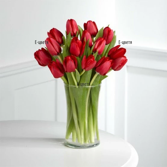 Send a bouquet of red tulips