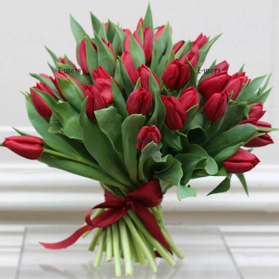 A bouquet of 51 red tulips
