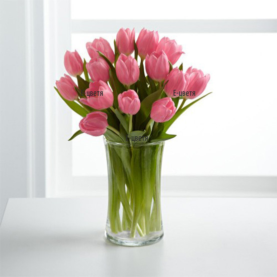 A bouquet of pink tulips