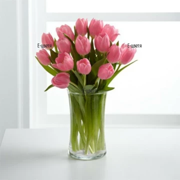 Send delicate, classic bouquet of pink tulips - lovely gift for the loved one. You can choose the number of the tulips in the bouquet.
