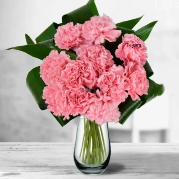 Order online bouquet of Pink carnations