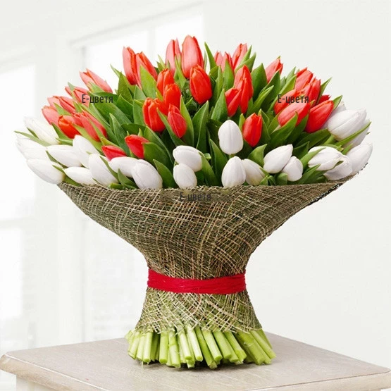 Enormous bouquet of 101 red and white tulips