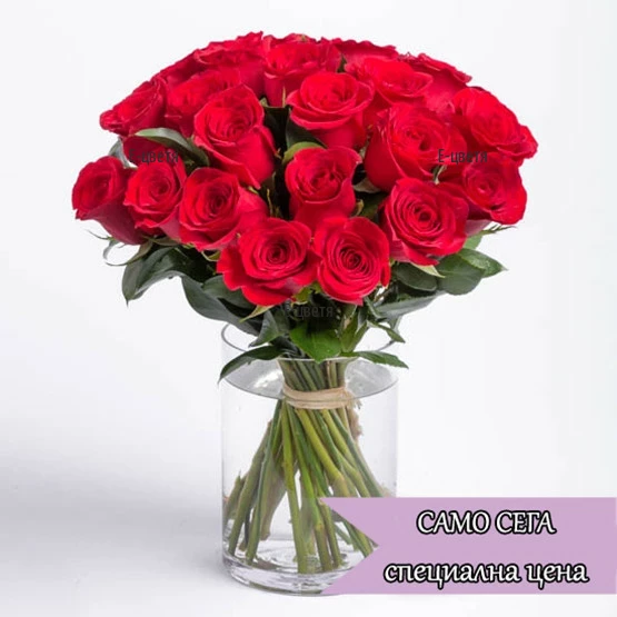 A bouquet of red roses stems