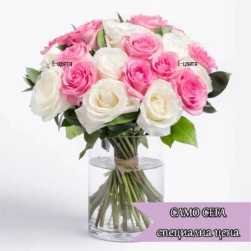 A bouquet of pink and white roses, tied with a ribbon