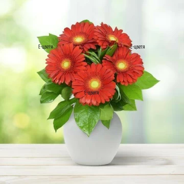 Order a bouquet of red gerberas and greens