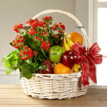 Splendid basket, arranged with fruits(about 3 kg) and pot plant. Perfect gift  for all occasions and recipients.