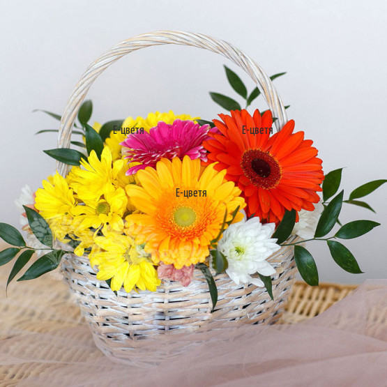 Send a basket with gerberas and chrysanthemums.