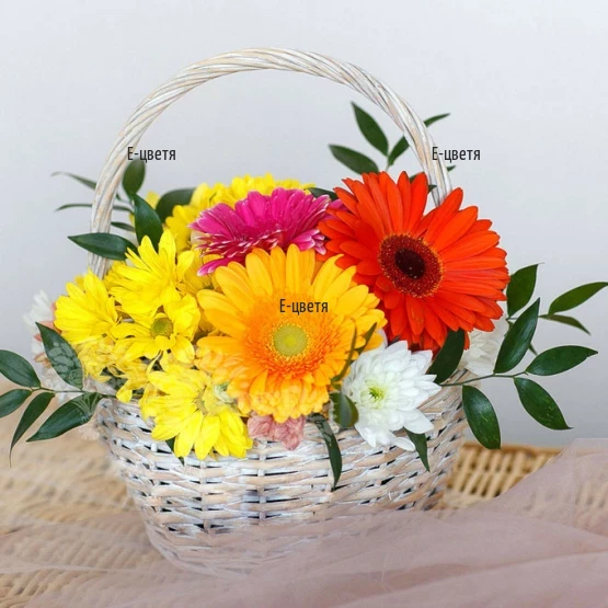 Send a basket with gerberas and chrysanthemums.
