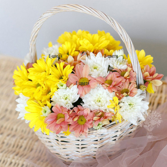 Send a basket with colourful chrysanthemums.