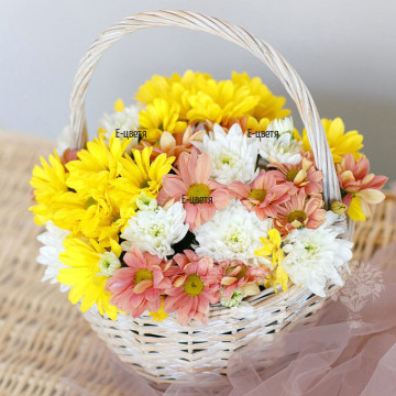 Красива и китна кошничка с разноцветни хризантеми. Дарете щастие и направете неподправена изненада на любимите си хора