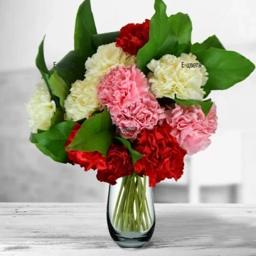 Bouquet of red pink and white carnations