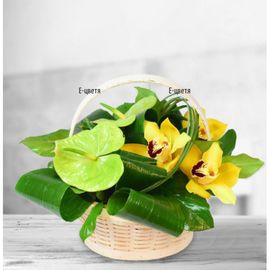 Send original basket with exotic flowers.