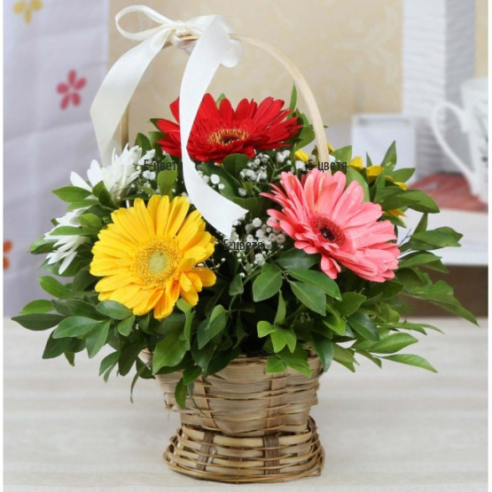 Send a flower basket - Daily