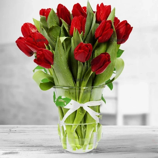 Send 21 red tulips to Bulgaria