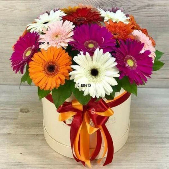 Delivery of a box of multi-colored gerberas to Bulgaria