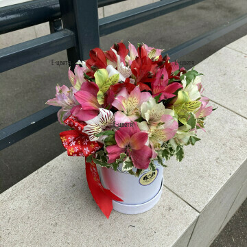Пъстри алстромерии, аранжирани в красива, кръгла кутия за цветя, които ще носят усмивки и настроение в дома или офиса на скъп за Вас човек.