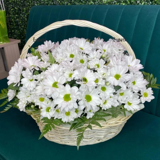 Basket with white chrysanthemums and greens