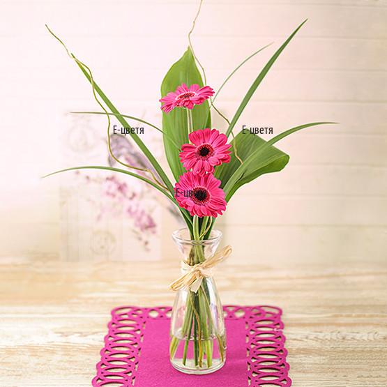 Send a bouquet of pink gerberas - Spectacle