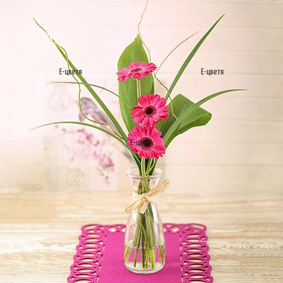 Send a bouquet of pink gerberas - Spectacle