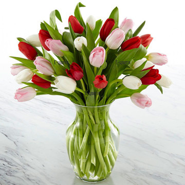 Make a new start of the relationships with your beloved one and demonstrate your feelings and love with this beautiful spring bouquet of tulips.