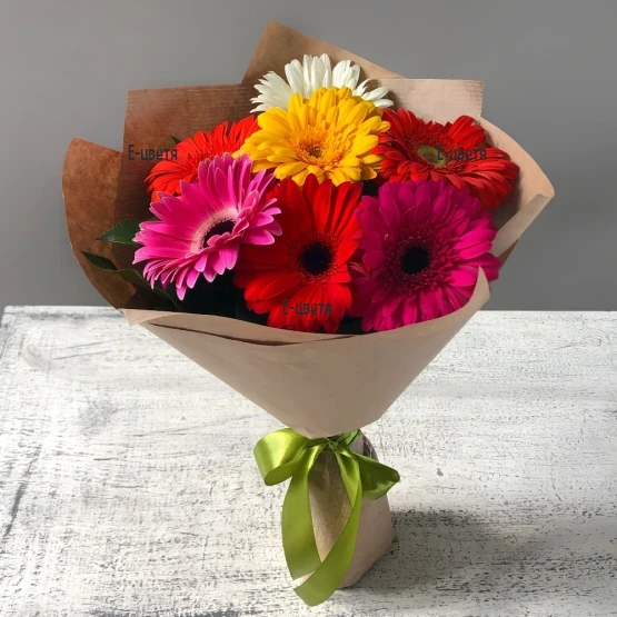 Send a bouquet of 7 gerberas to Bulgaria