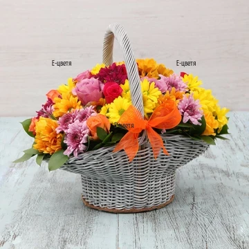 Cheerful, charming basket with bright, colourful flowers. Magnificient combination of several roses and plenty of chrysanthemums, complemented with fresh greenery. The flowers are arranged on piaphlora.