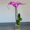 An order and a delivery of orchid in a pot.