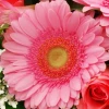 Flower delivery, send flower bouquet - Dance in pink