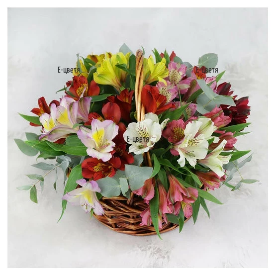 Send basket with fresh alstroemerias to Bulgaria